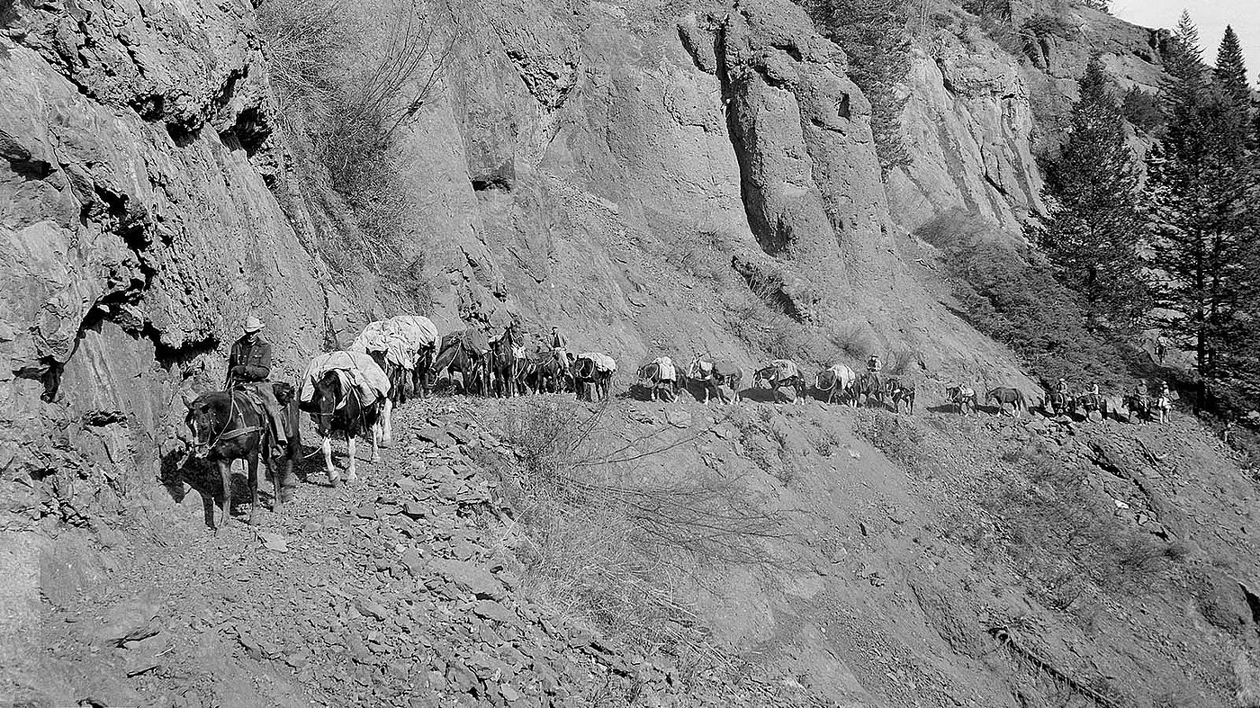 The makings of a true adventure? Max Wilde, a packstring like the one pictured, and a backcountry trail. Outfitter Les Bowman leads a packstring along Ishawooa Trail in 1953. MS 89 Jack Richard Collection. PN.89.105.20005.107