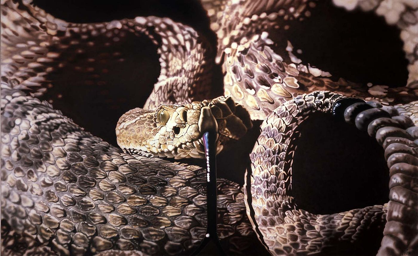 Don Coen (b. 1935). Prairie Rattler, 1981 – 1982. Acrylic on canvas. Gift of The Alexander Bodini Foundation, in memory of Alexander Bodini. 10.11 (detail)