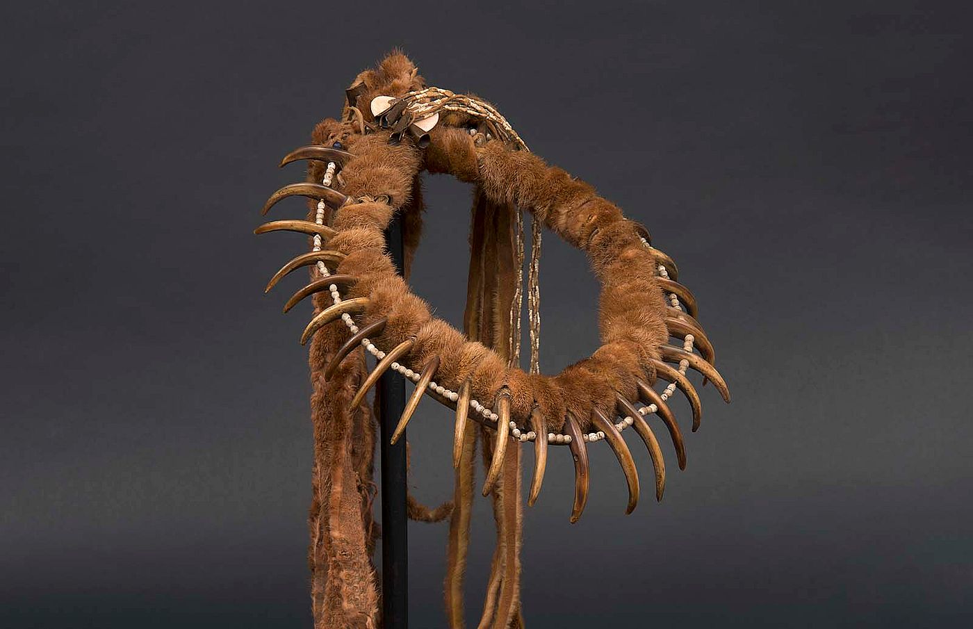 Bear claw necklace, Central Plains, ca. 1860. Otter hide, grizzly bear claws, glass beads, abalone shells, red ochre, porcupine quills. NA.203.1585