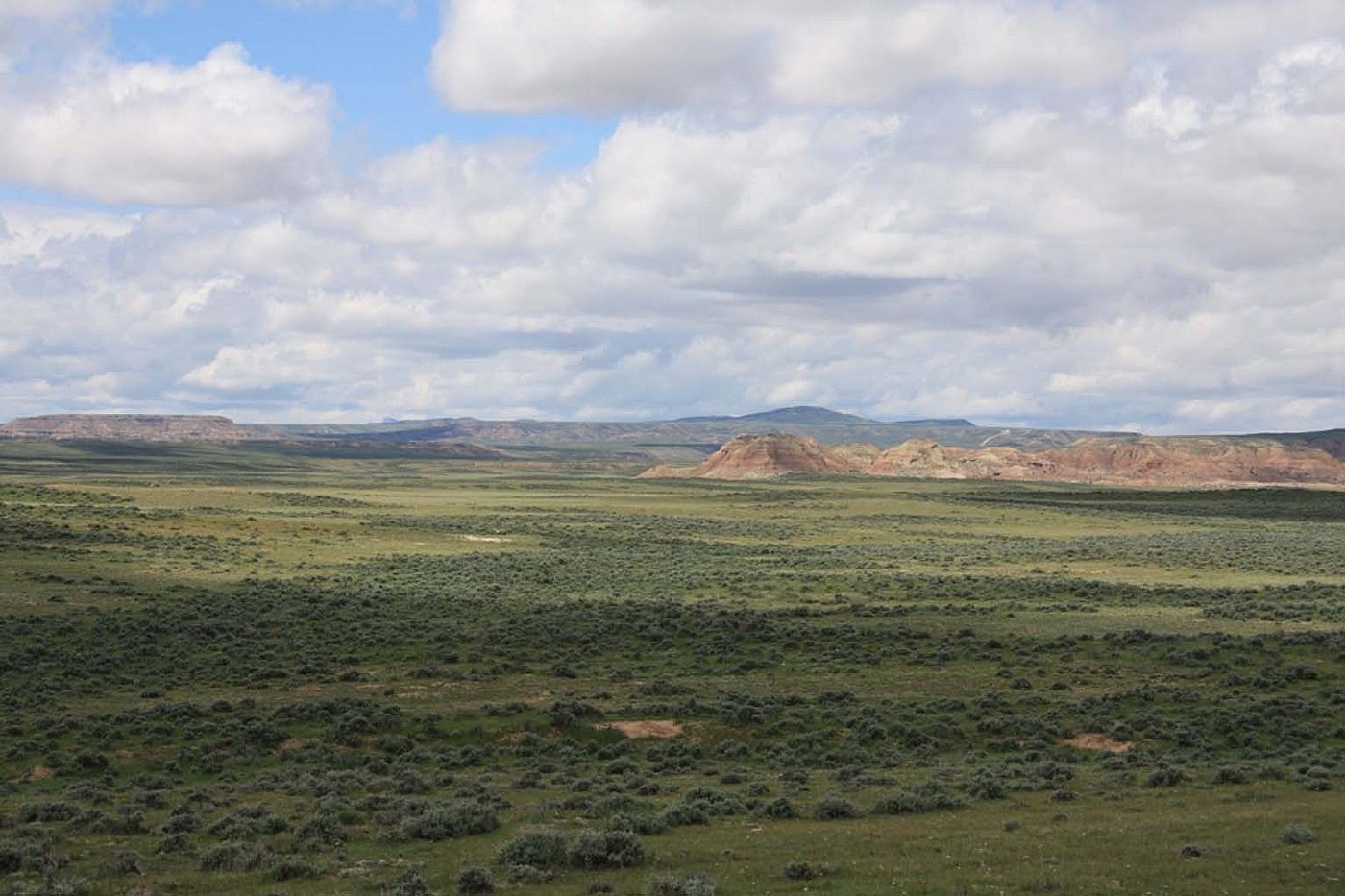 The still vast, virtually intact sagebrush-steppe ecosystem of Wyoming's Bighorn Basin remains a stronghold for the golden eagle and the Spirit of the American West. Photo by C.R. Preston.