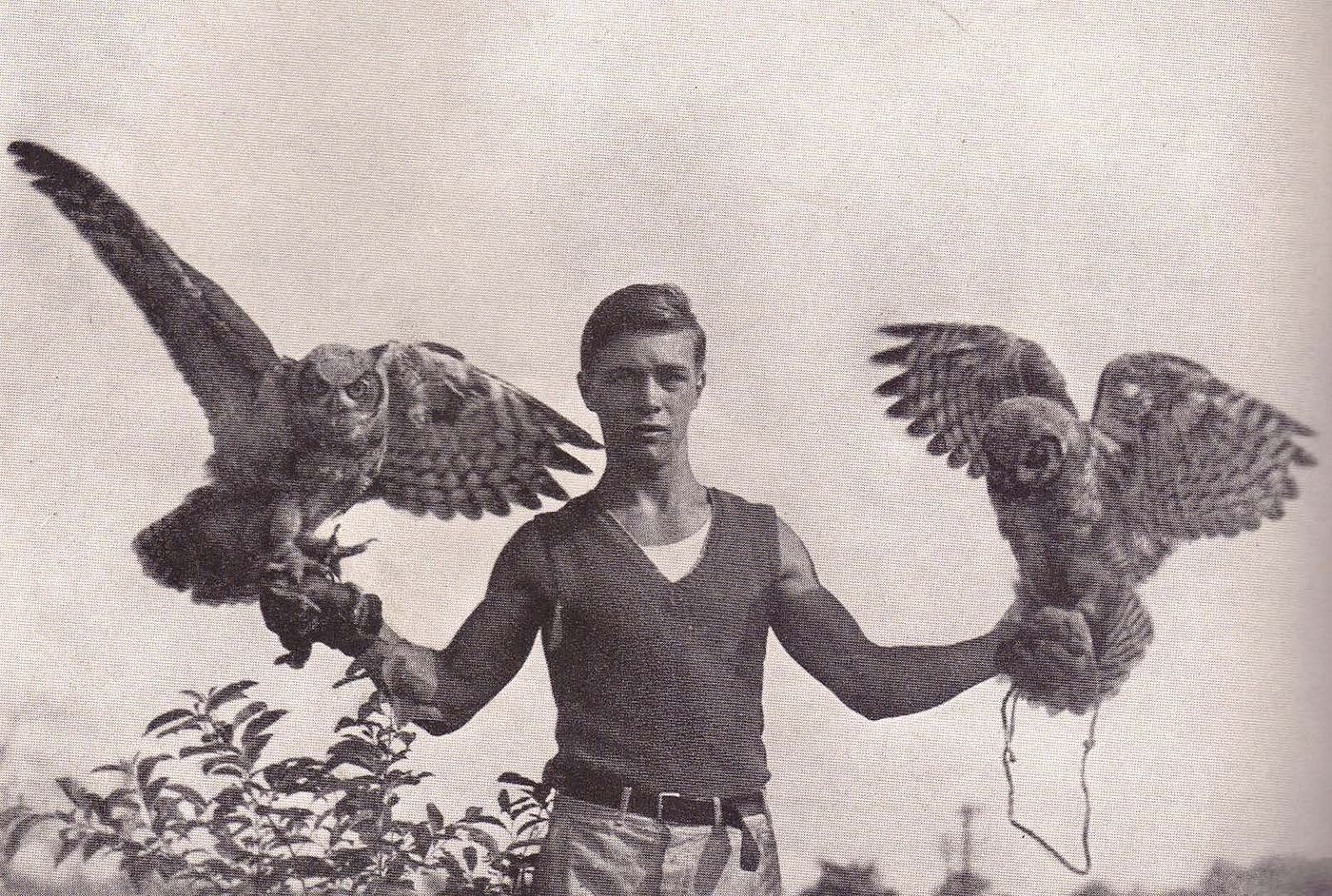 Two great horned owls, eager to be on the wing, are perched on Frank Craighead's gloved fists, page 124. (detail)