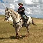 2014 Custer Reenactment