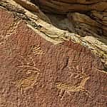 Legend Rock elk