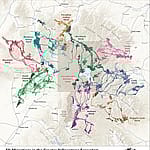 2015 Atlas of Wildlife Migration: Wyoming's Ungulates (in production), Wyoming Migration Initiative (migrationinitiative.org). Cartography by Alethea Steingisser and Jim Meacham of InfoGraphics Lab, Department of Geography, University of Oregon.