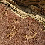 Legend Rock elk