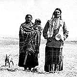 MS 247 Fred R. Meyer Photographs