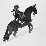 Wyoming Photographers