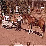 MS 089 Jack Richard Photograph Collection