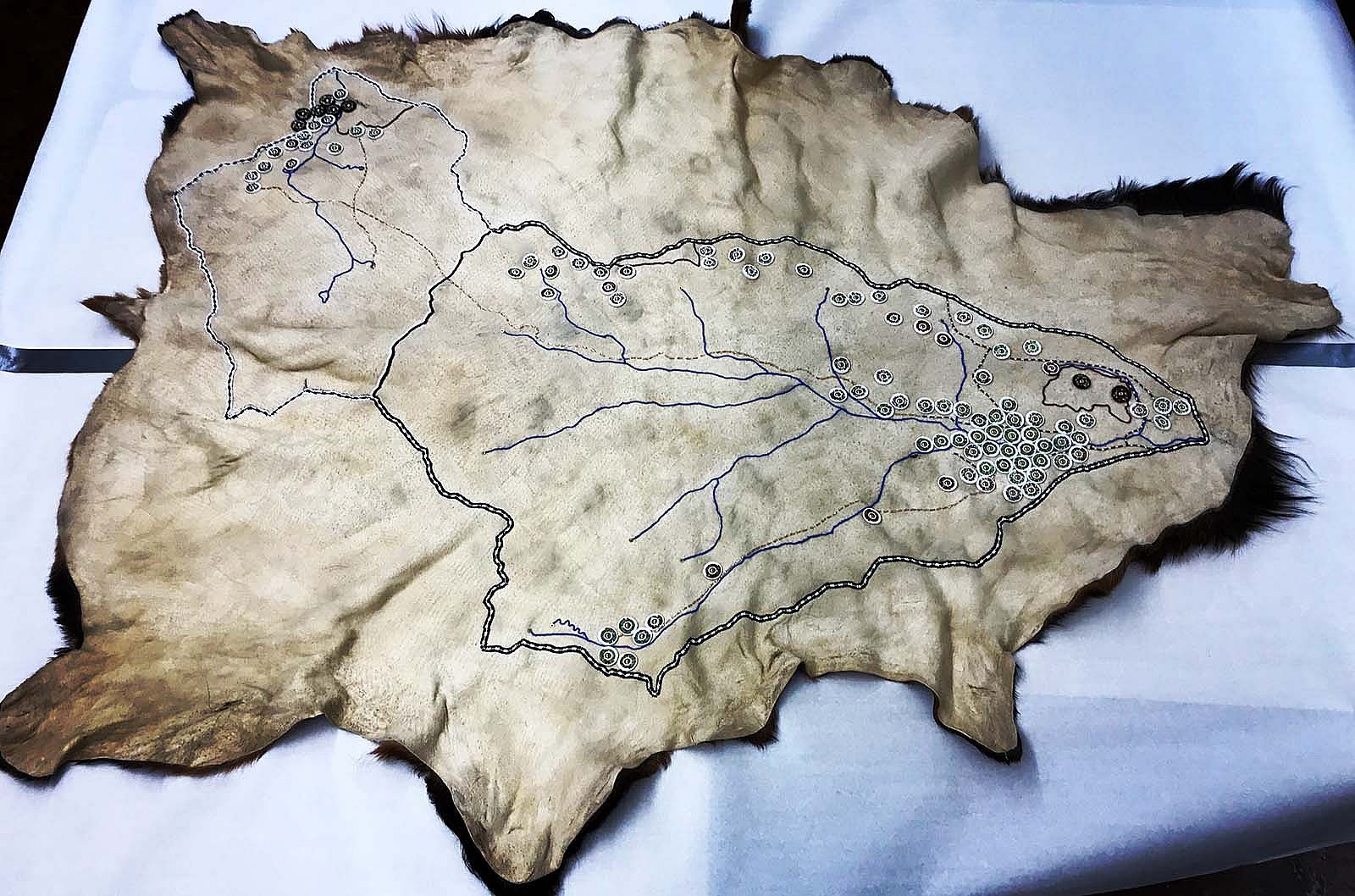 Art Elk Hide 2019. By Colleen Friday