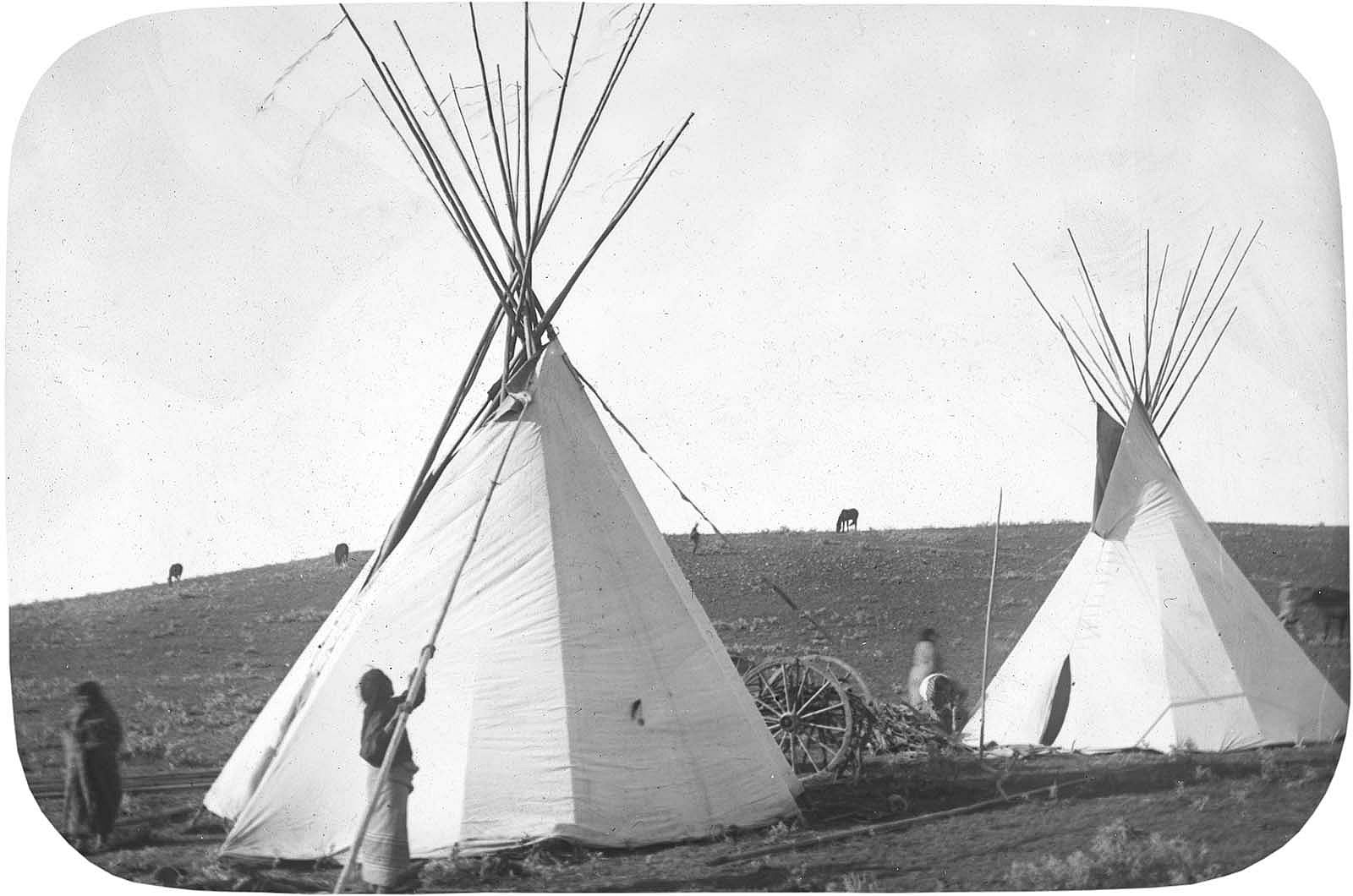 Crow women moving tipi flaps for ventilation, early 1900s. MS095 Petzoldt Collection, McCracken Research Library. LS.95.22