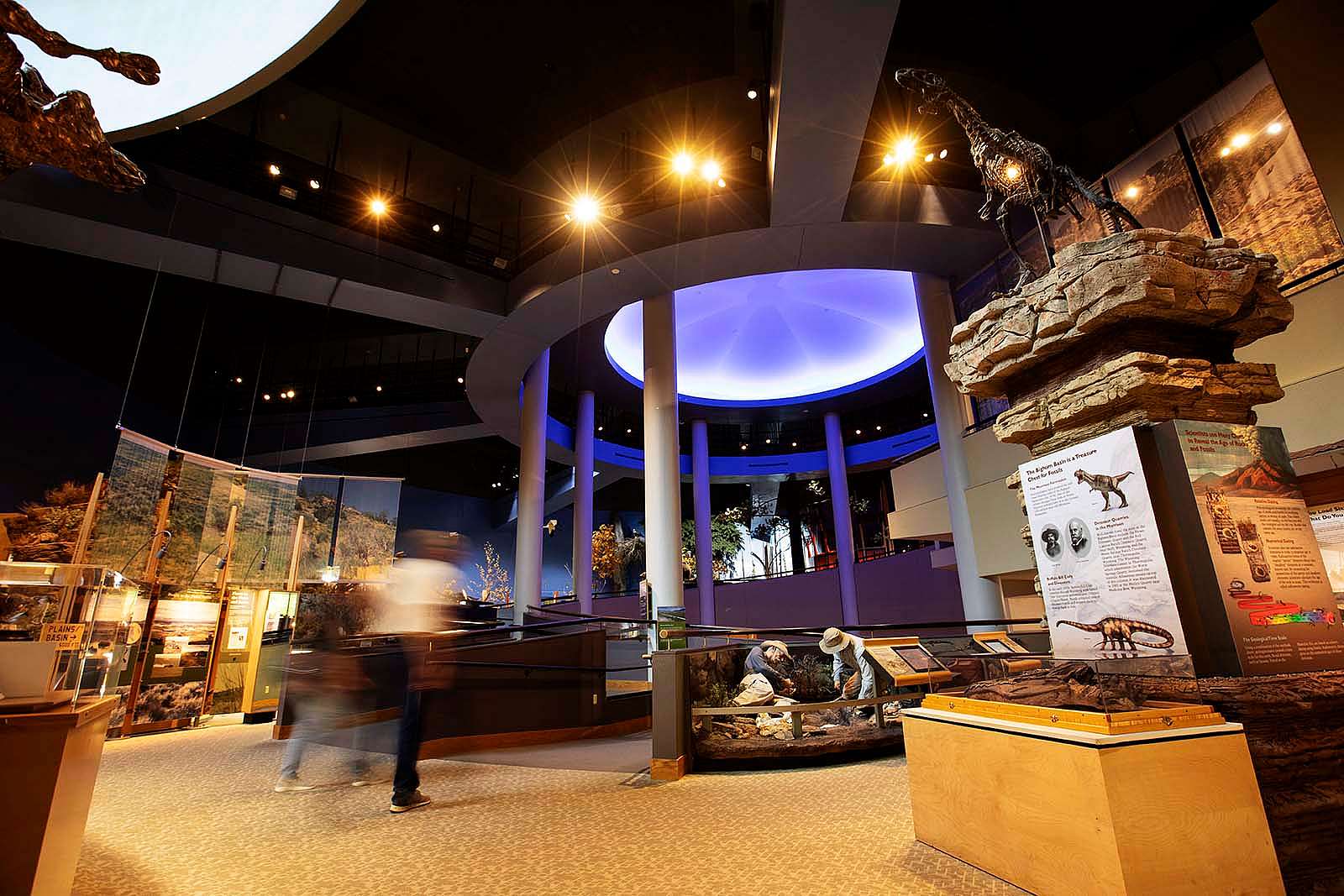 Draper Natural History Museum