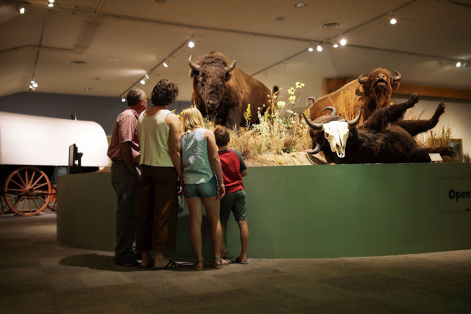 A family viewing the "Buffalo Family" exhibit, Buffalo Bill Museum, Buffalo Bill Center of the West, Cody, Wyoming, USA (BBCW-BBM01)