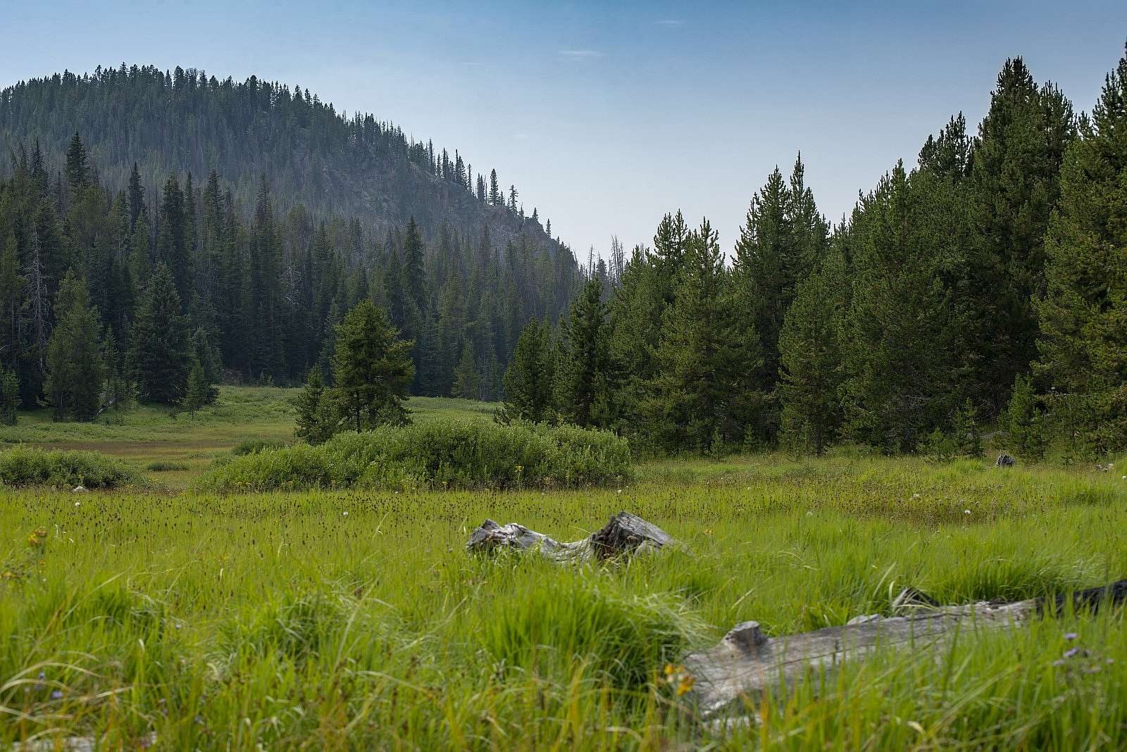 360 Adventure Mountain Forest