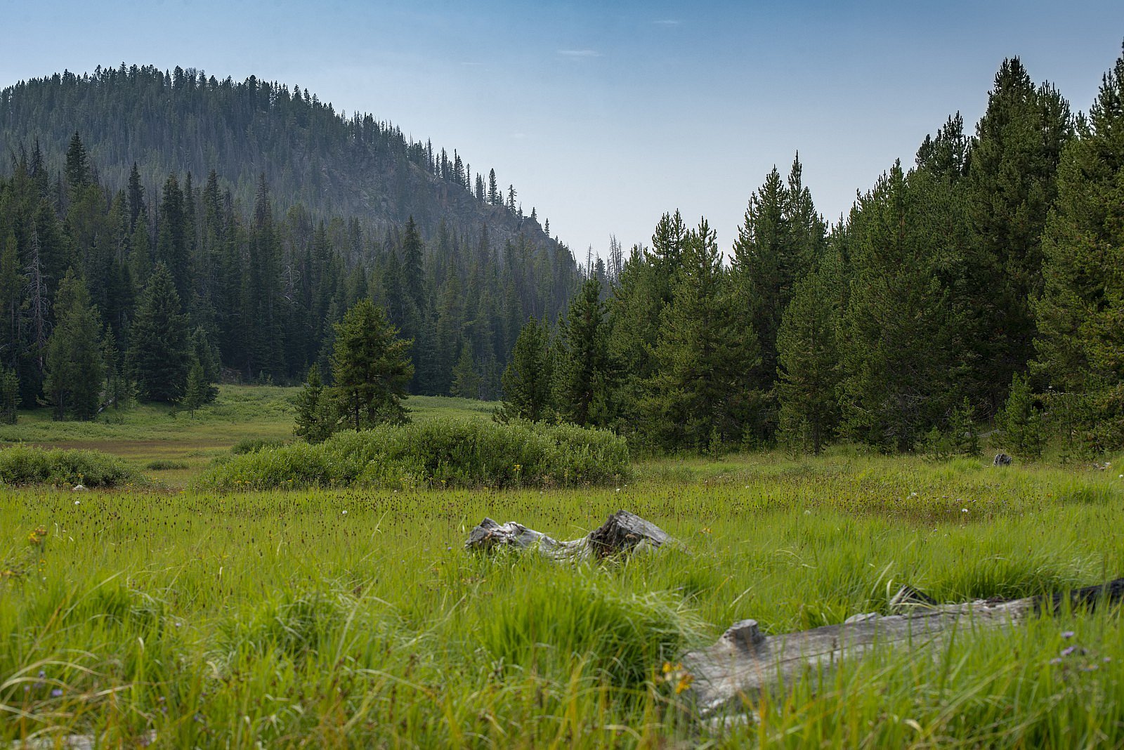 360 Adventure Mountain Forest