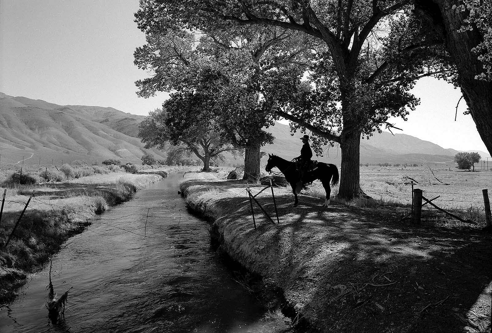 Rene Duykaerts, near Laws, Owens Valley, California, 1995. Silver gelatin print by William Shepley. P.602.014 (detail)
