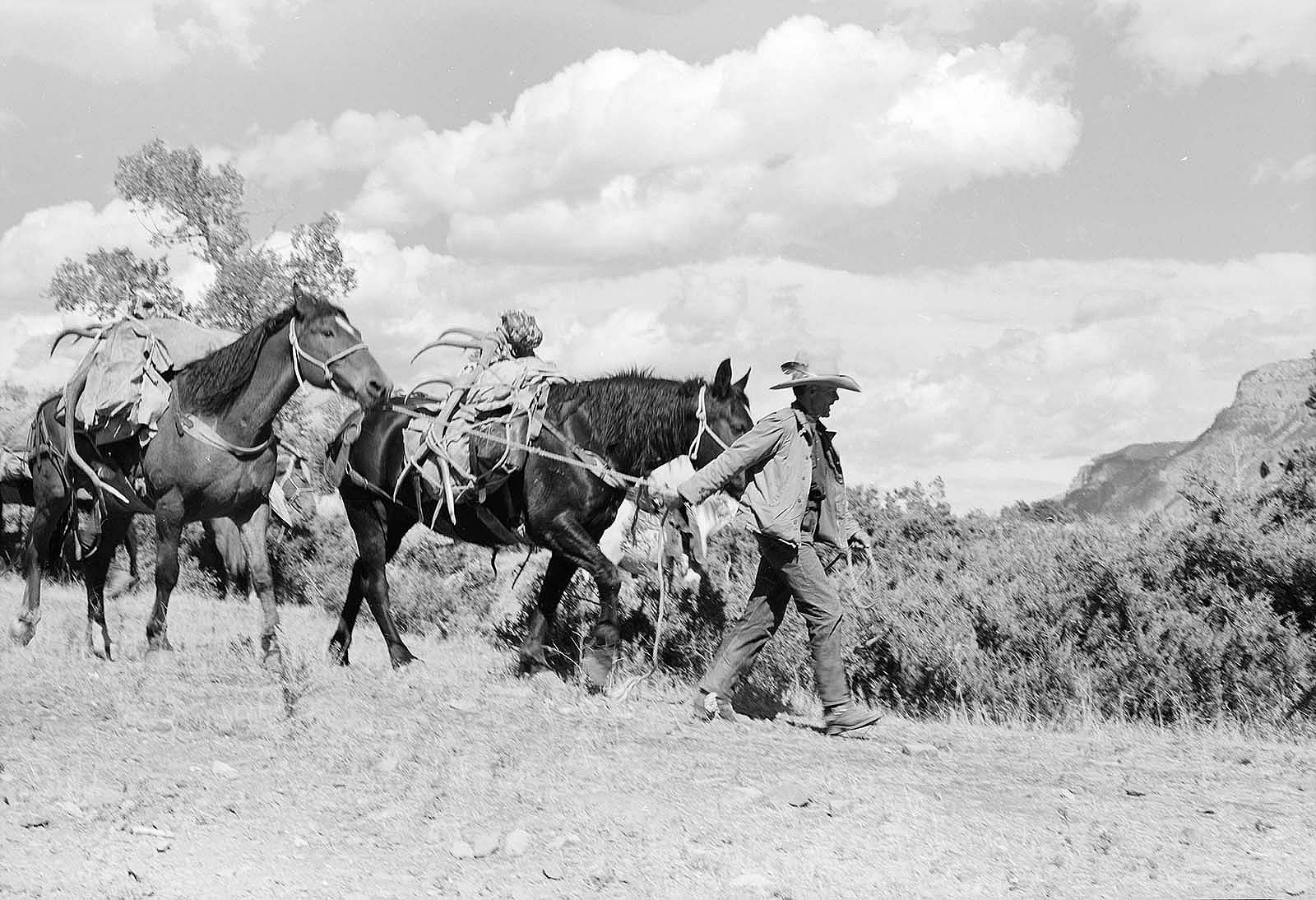 Anson Eddy leads a pack-string on the upper South Fork, ca. 1960. MS 089 Jack Richard Photograph Collection, McCracken Research Library. PN.89.27.4382.17