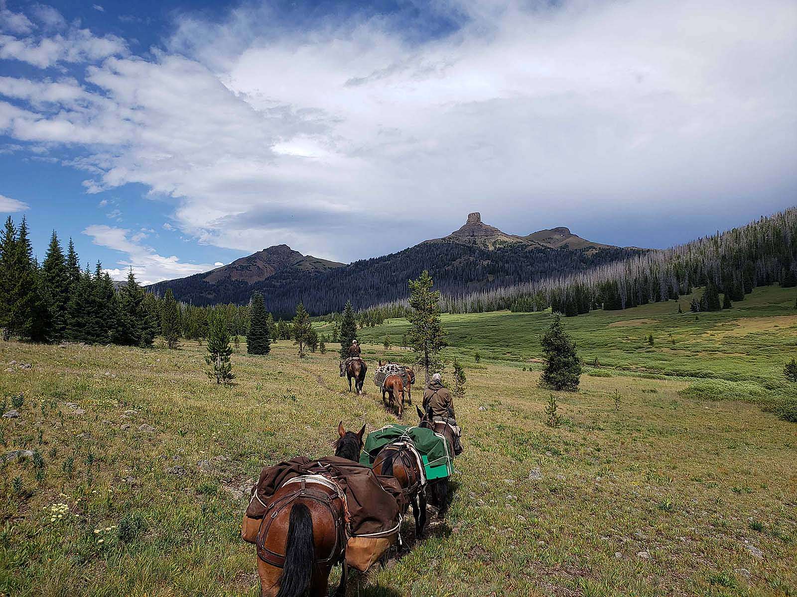 Pack String in mountains. Recreating many of Thomas Jaggar’s photos in the Absarokas required miles of backcountry travel on foot and horseback. Photo by Corey Anco.