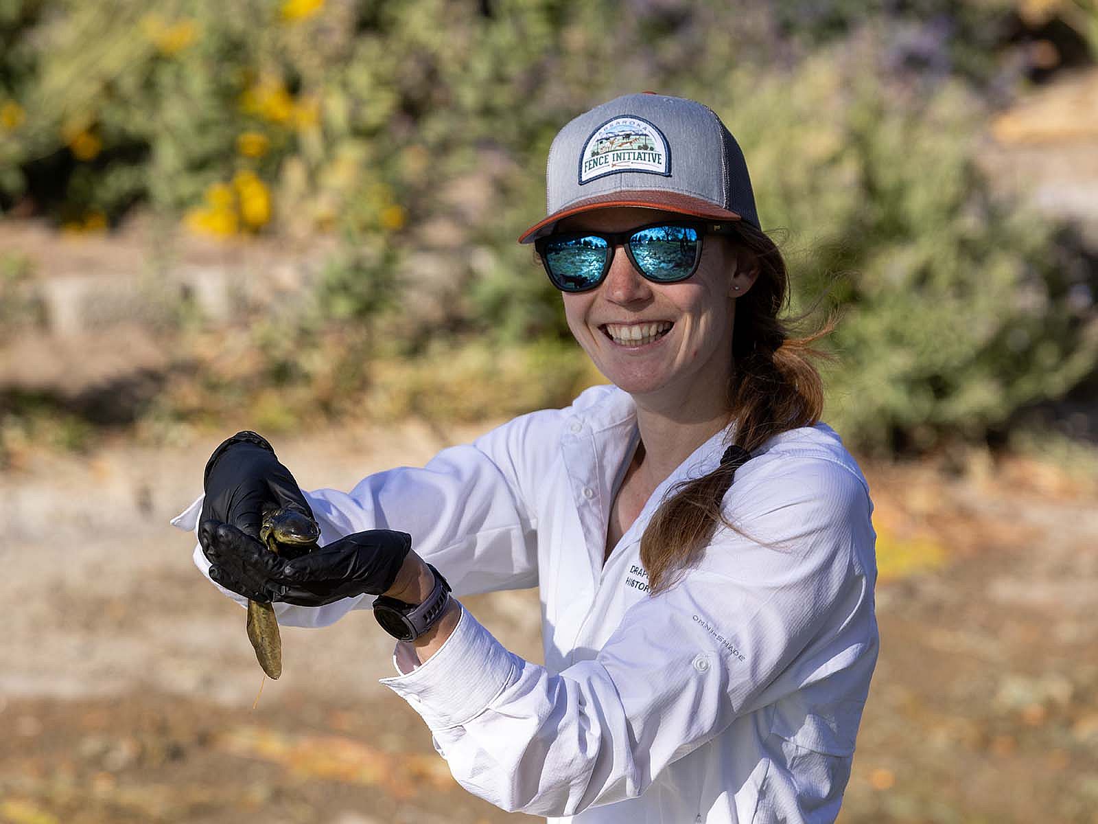 Amy Phillips outdoors in cap and wearing sunglasses, holding a tiger salamander. Julia Cook photo, 2024.