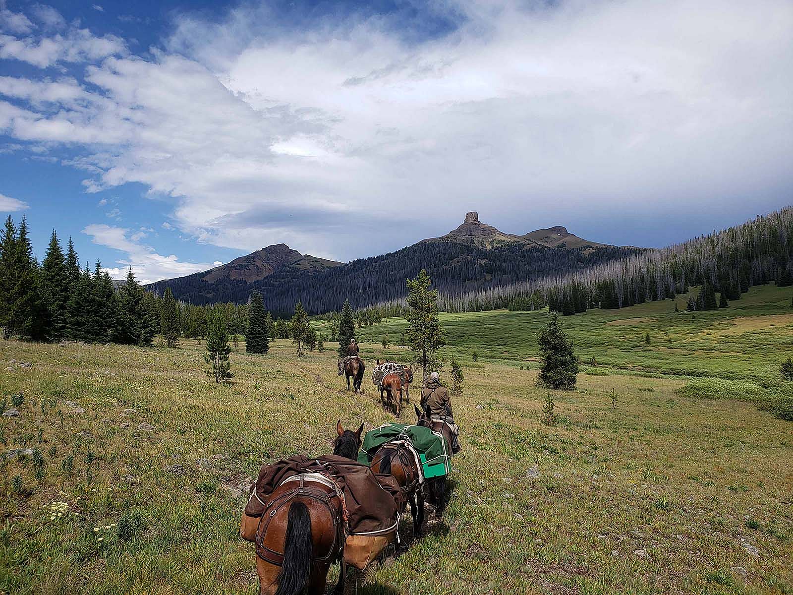 Pack String in mountains. Recreating many of Thomas Jaggar’s photos in the Absarokas required miles of backcountry travel on foot and horseback. Photo by Corey Anco.