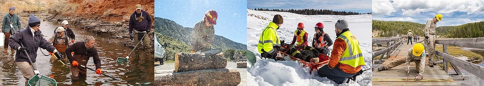 Volunteering collage