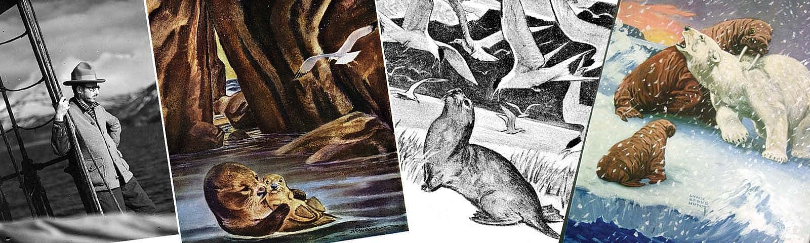 Harold McCracken collage