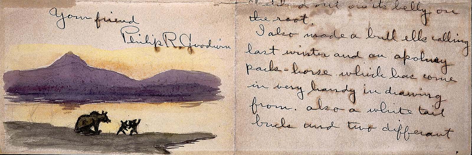 Phillip Goodwin letter page with sketch of a deer. 26.83.3