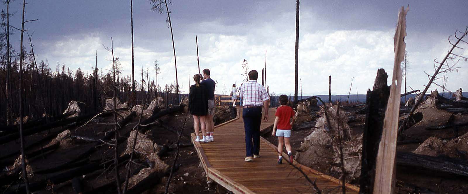 Visitors inspect Yellowstone fire damage at a massive blowdown on the road between Madison and Canyon Junctions. For some, the Park was destroyed; for others it was rebuilding. National Park Service photo by Jim Peaco, September 1988. (detail)