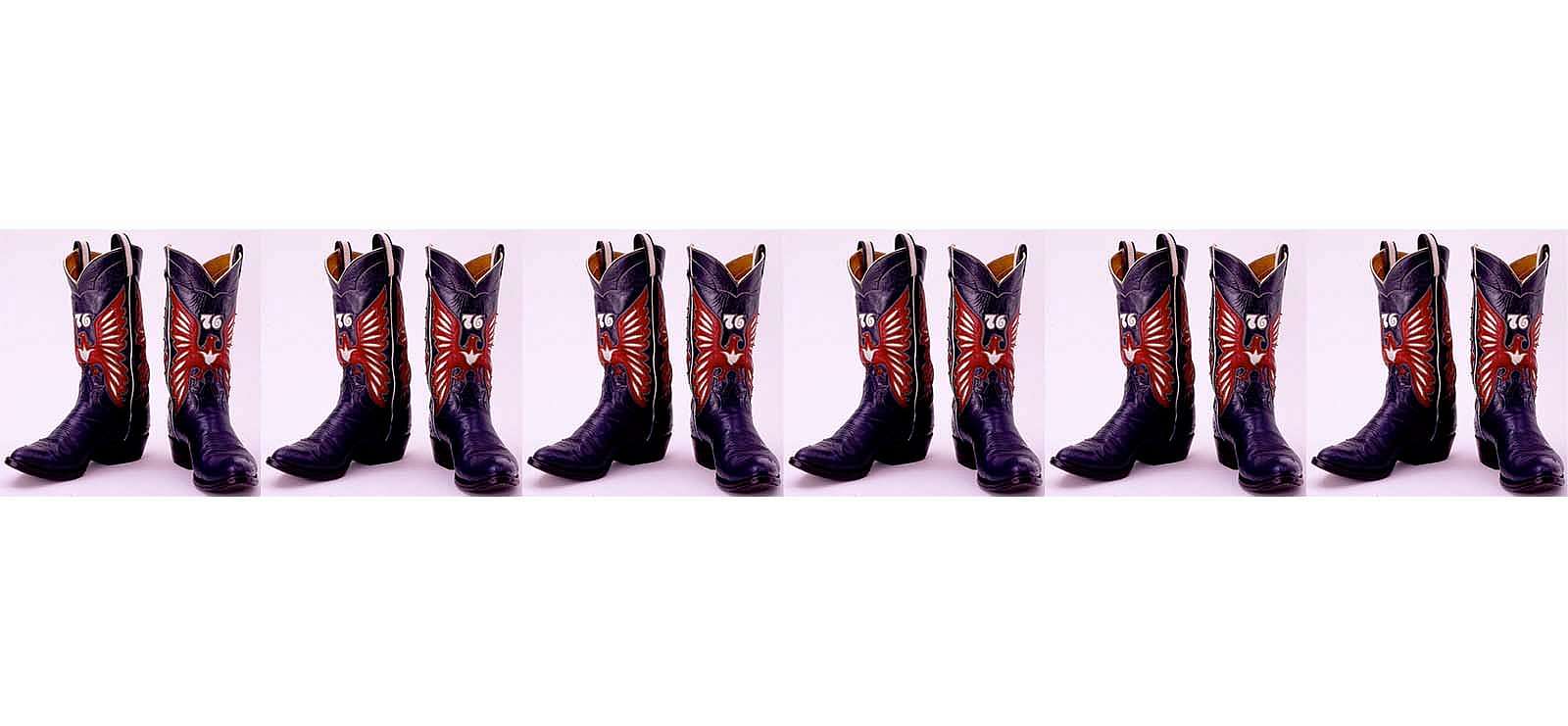 Tony Lama Co. cowboy boot, 1976, Gift of Charles and Joan Eagler. 1.69.2560