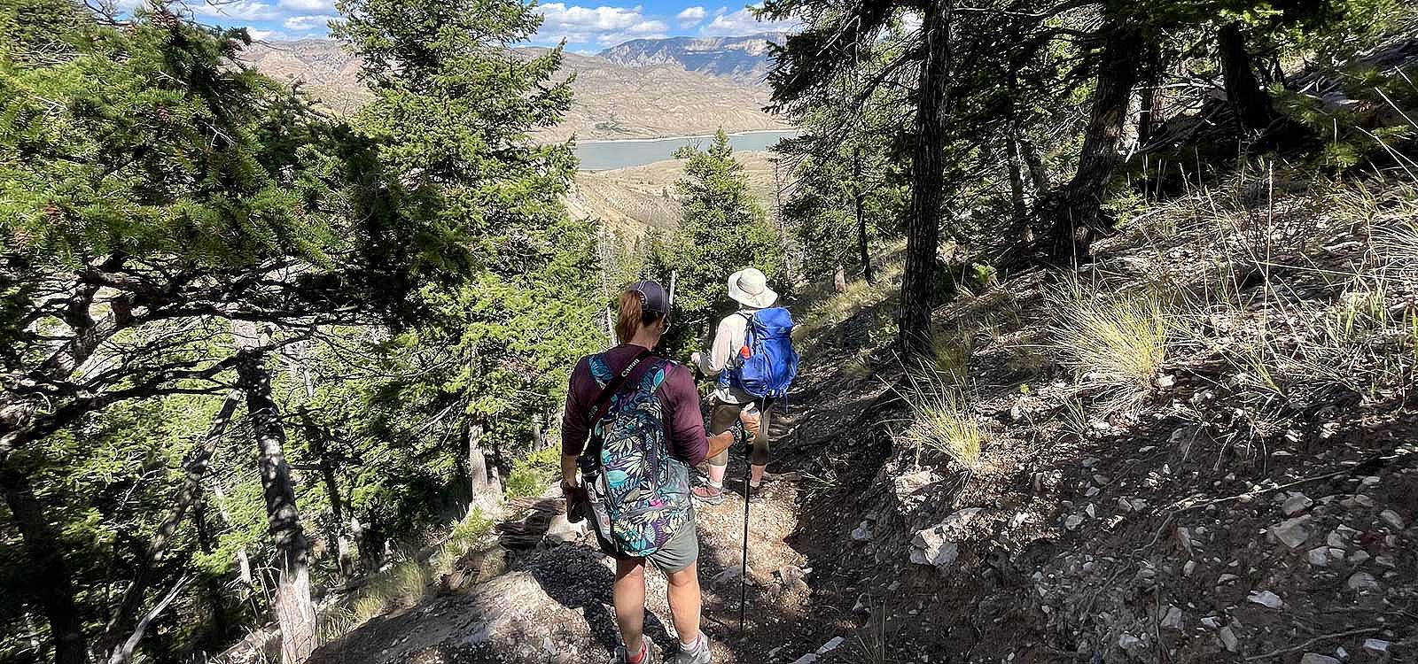Two people hiking on a trail through trees with mountain view in the distance.