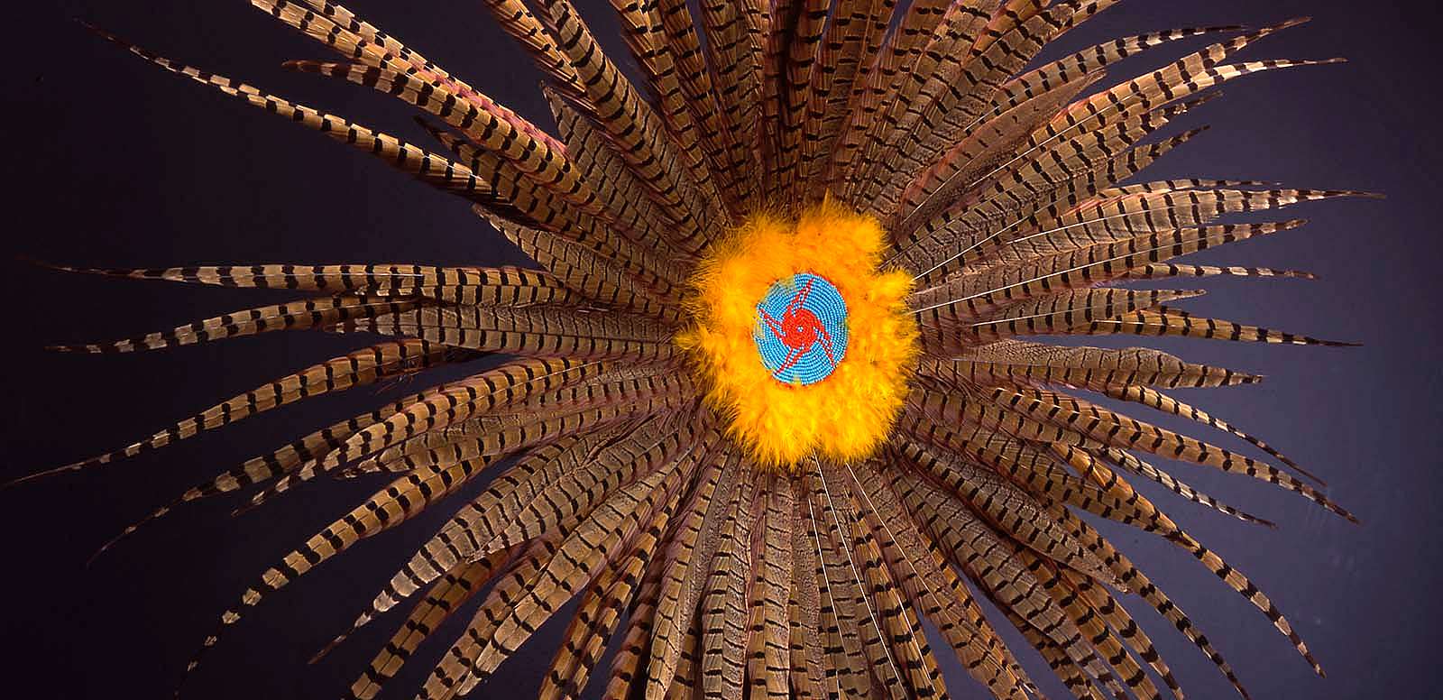 Feather dance bustle, ca. 1987. Sioux, Canada. NA.203.795