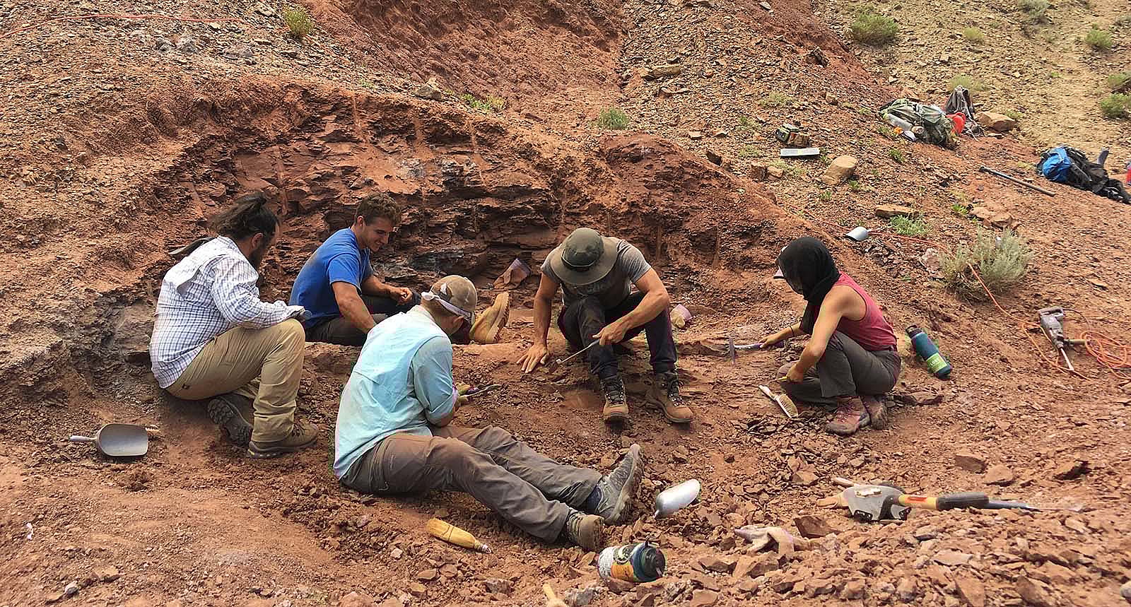 Dr. Mike D'Emic's team trenching for geologic data in 50-million-year-old sediments of the Bighorn Basin. Courtesy Mike D'Emic.