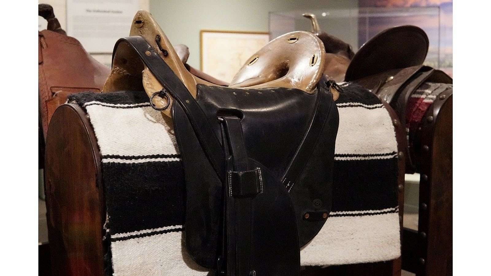 Close-up of the McClellan Saddle, highlighting its unique shape and leatherwork.