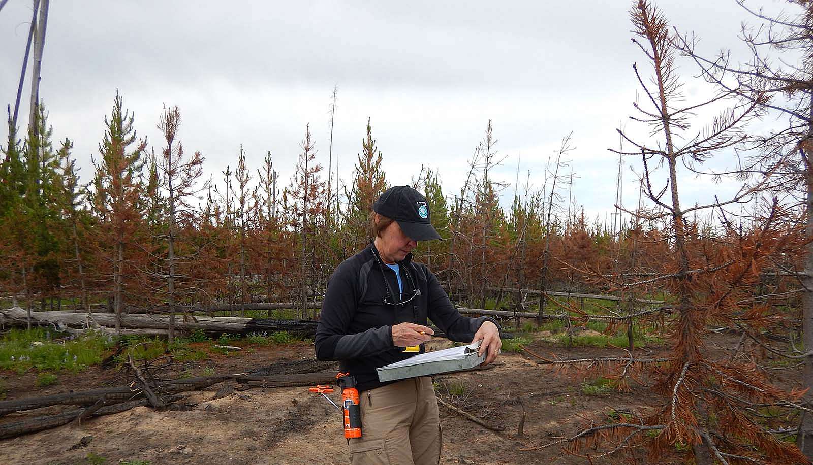 Dr. Monica G. Turner, winner of the 2019 Camp Monaco Prize