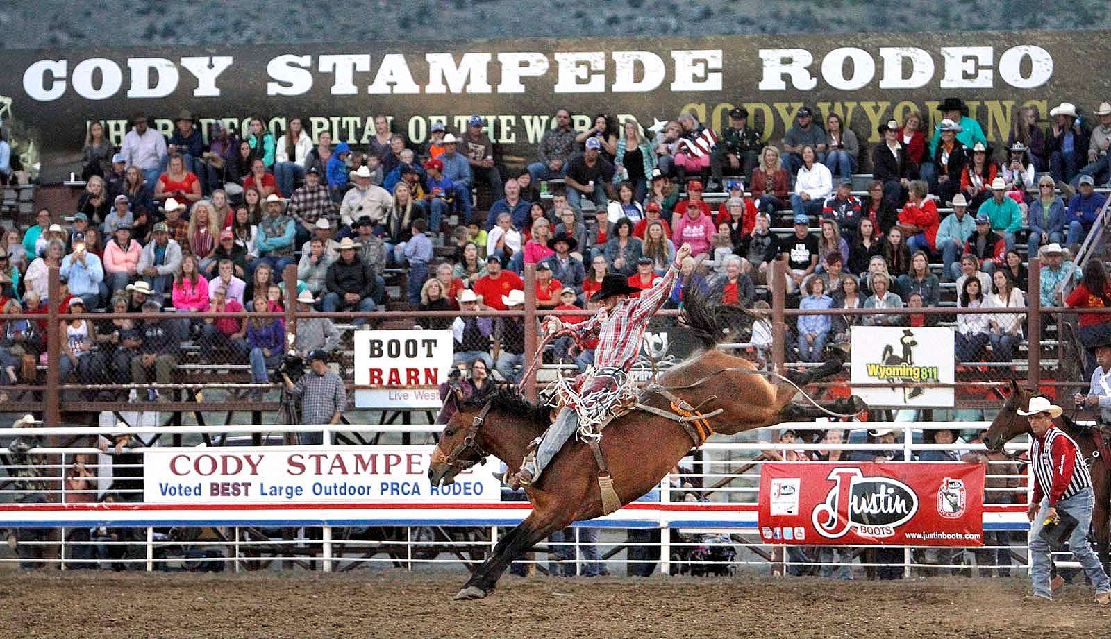Sterling Crawley of Stephenville, Texas, competing in saddle bronc during the Cody Stampede Rodeo, July 1, 2016. Raymond Hillegas photo courtesy the Cody Enterprise.