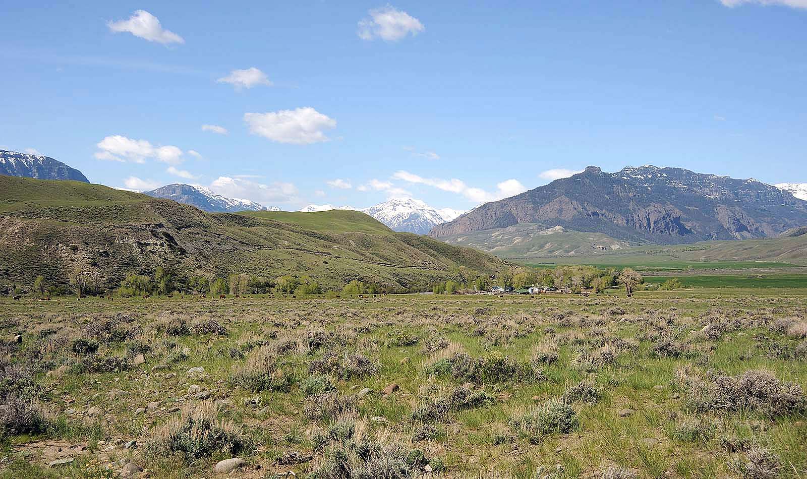Ken Siggins lives and works on the South Fork, with the Absaroka Range in the background.