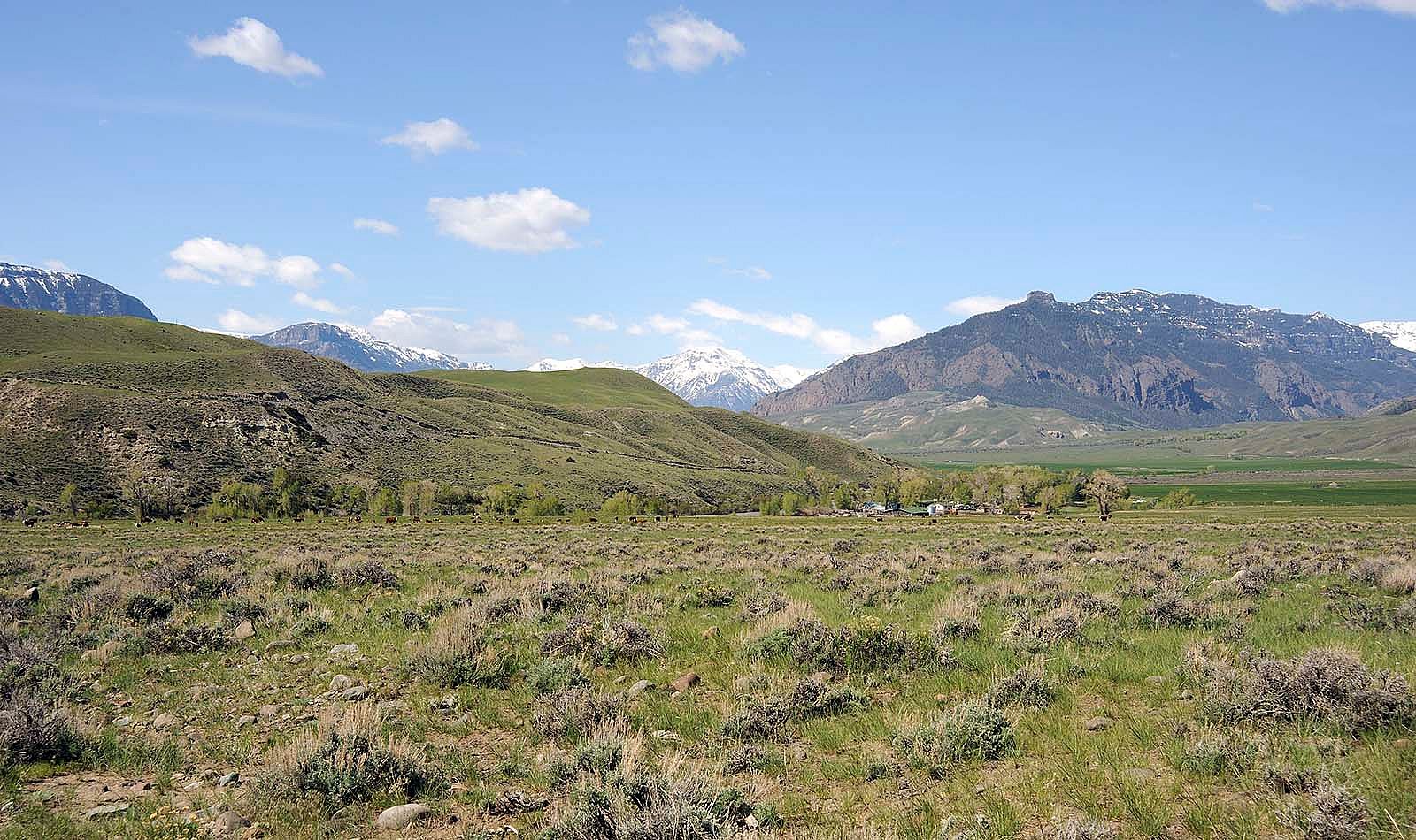 Ken Siggins lives and works on the South Fork, with the Absaroka Range in the background.
