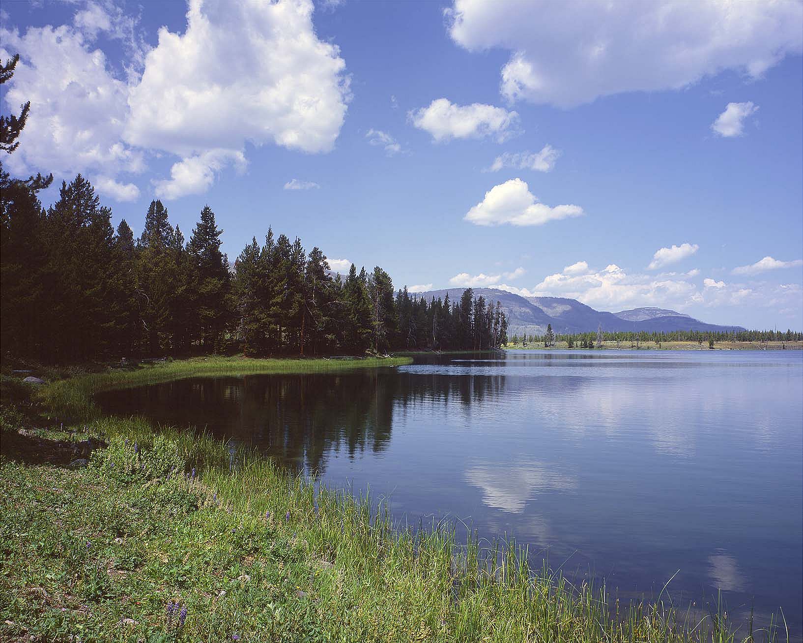 The western shoreline of Bridger Lake as it appeared in 2004. Note changes in the shoreline and in the vegetation. Sean Campbell photograph.