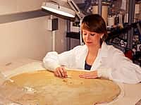 Conservation Intern Abby Brown