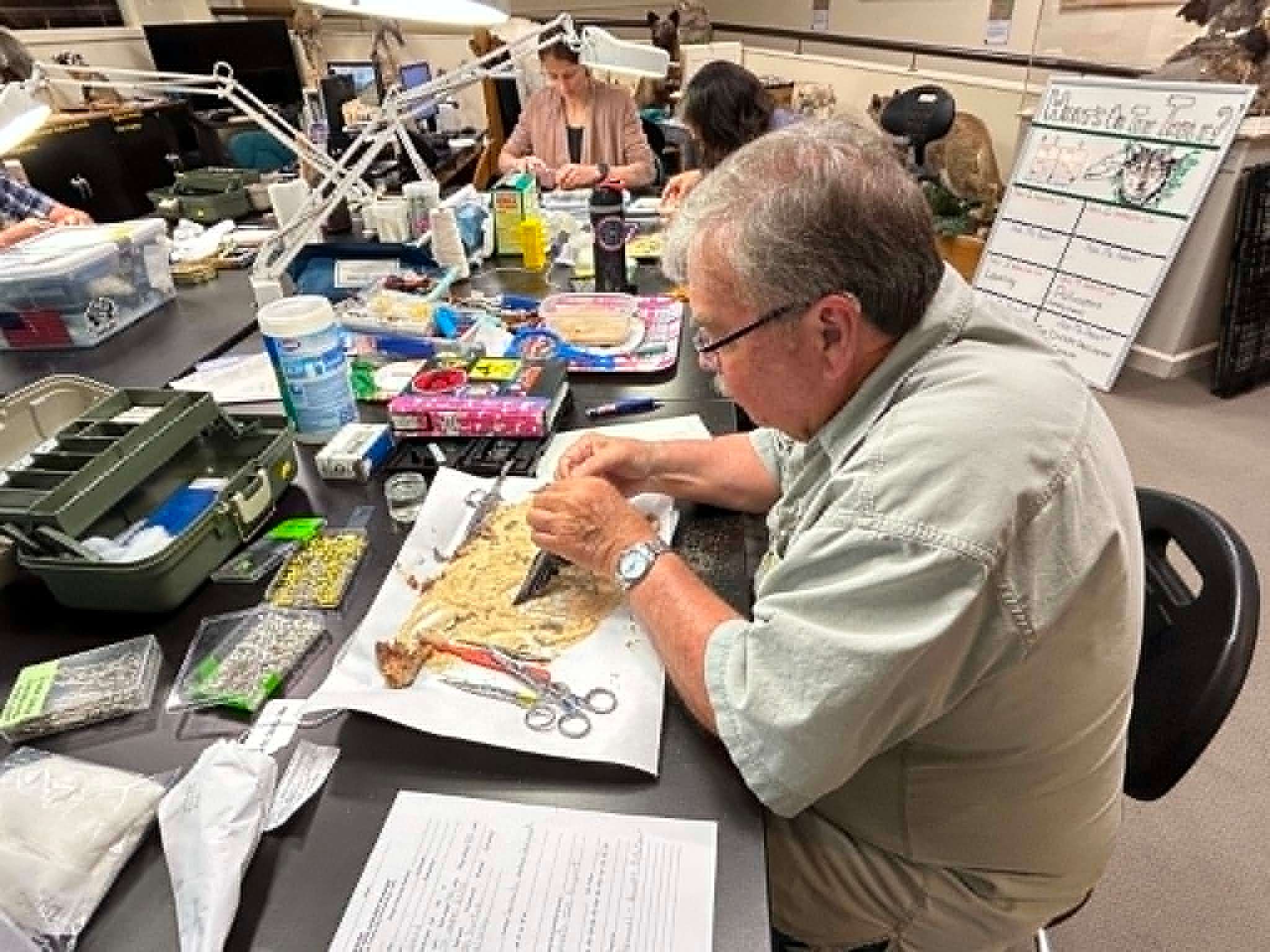 Jack Horner uses corn cob to keep feathers pristine through the preparation process.