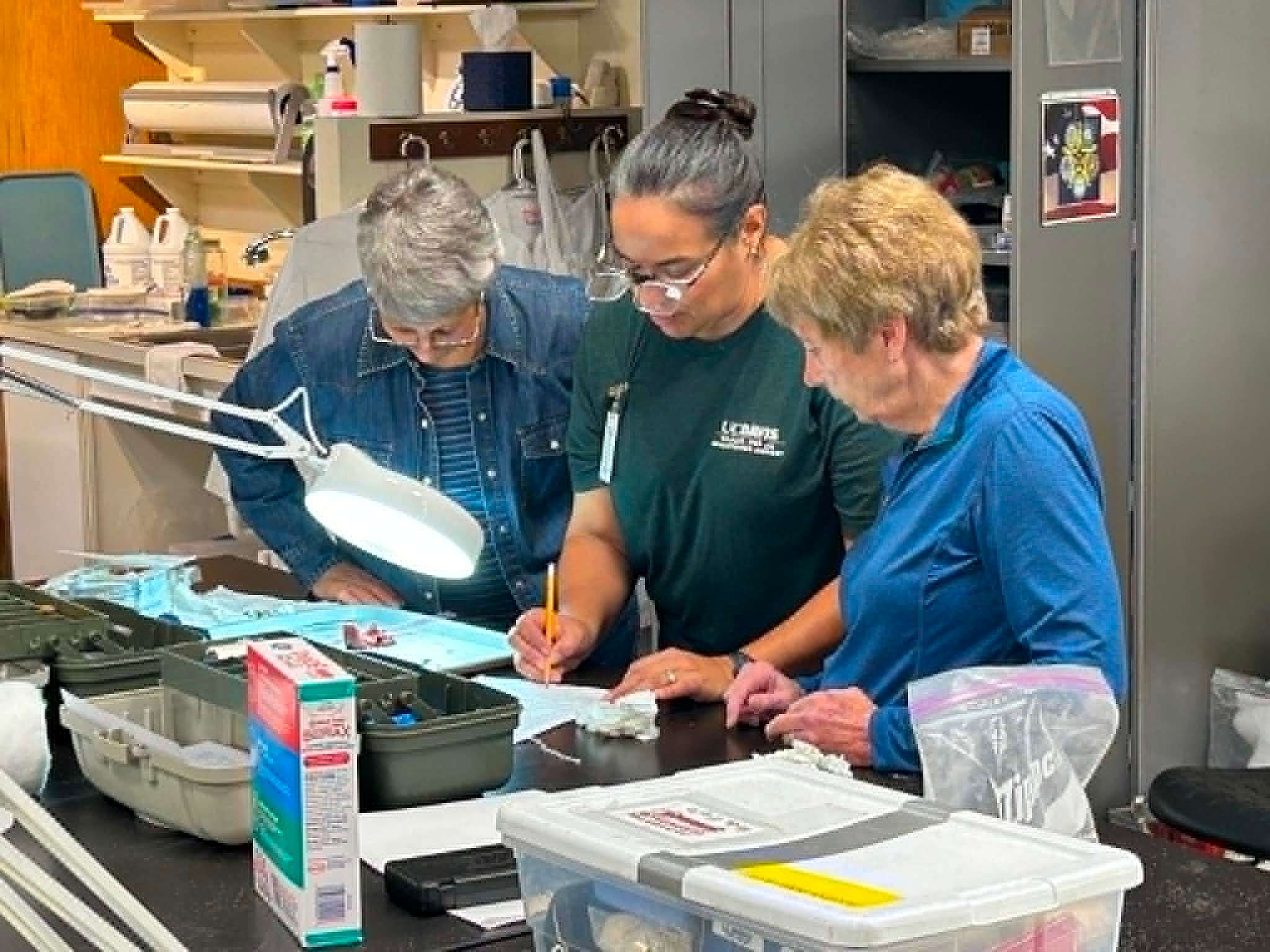 Dr. Irene Engilis works with volunteers Judy Mackie and Jeanne Meronek on the steps of roundskin preparation.