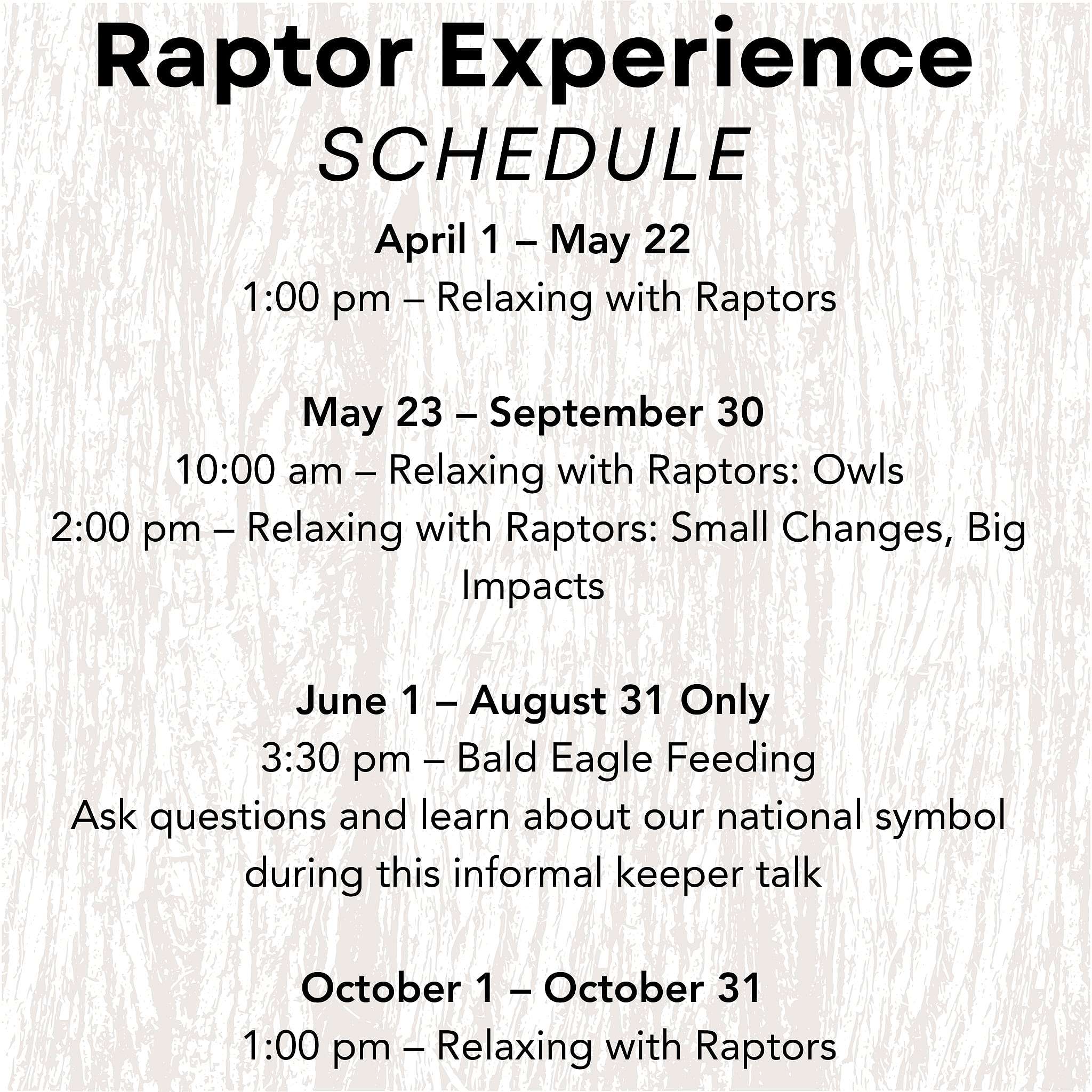 Raptor Experience