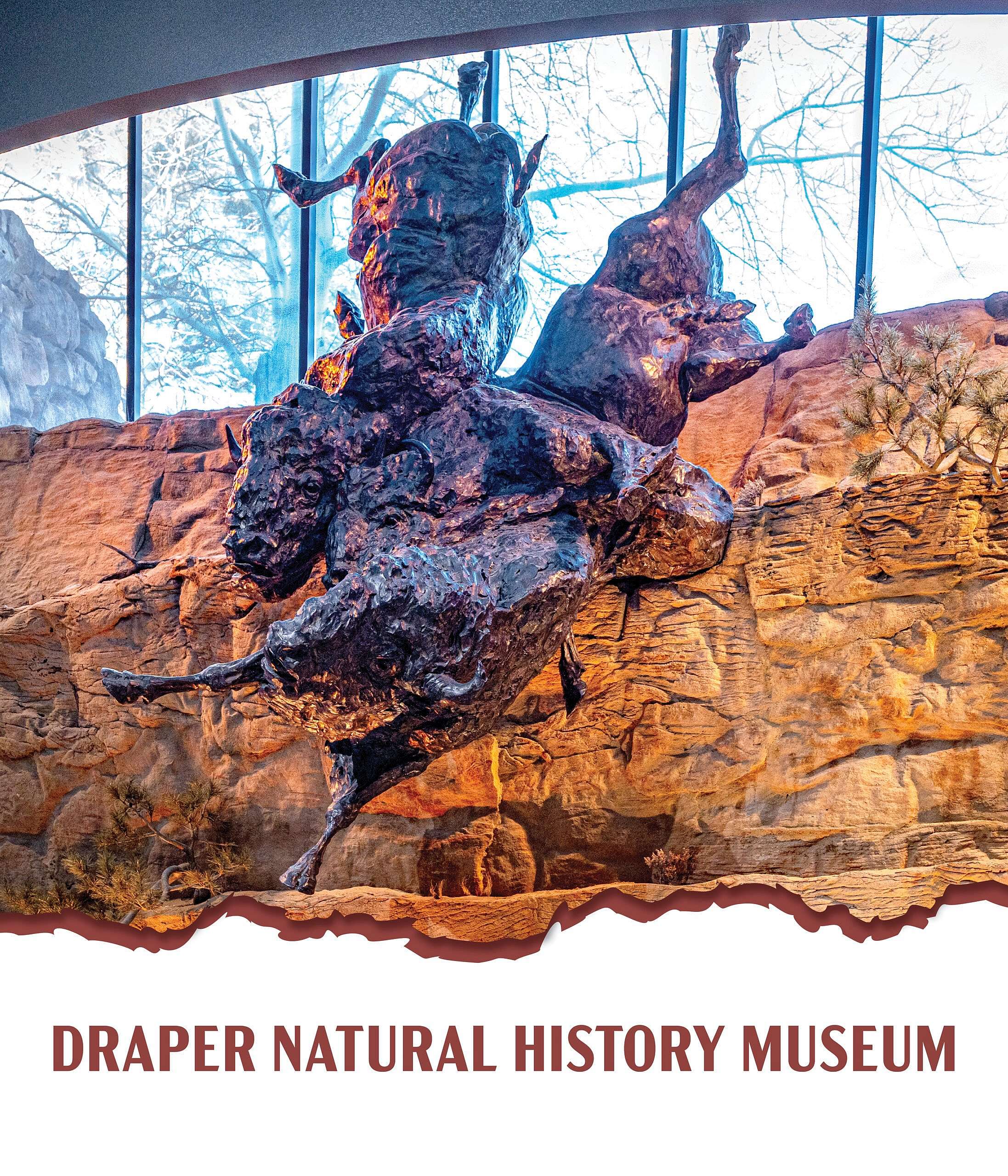 Draper Spotlight Buffalo Jump