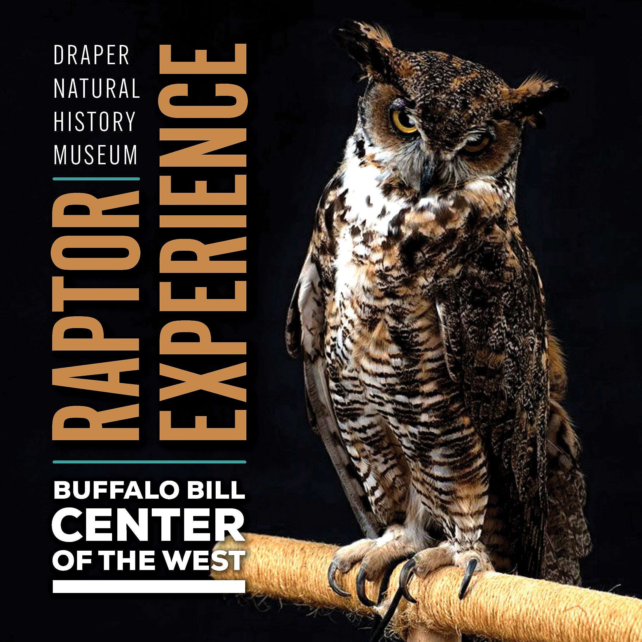 Draper Museum Raptor Experience