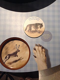 Dire Wolf Interactive; Everyone Learns During a Visit to a Museum