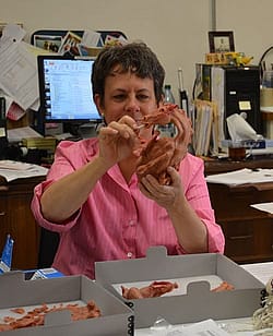Chief Conservator Beverly Perkins
