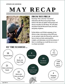Pinyon Jay Journal, cover image