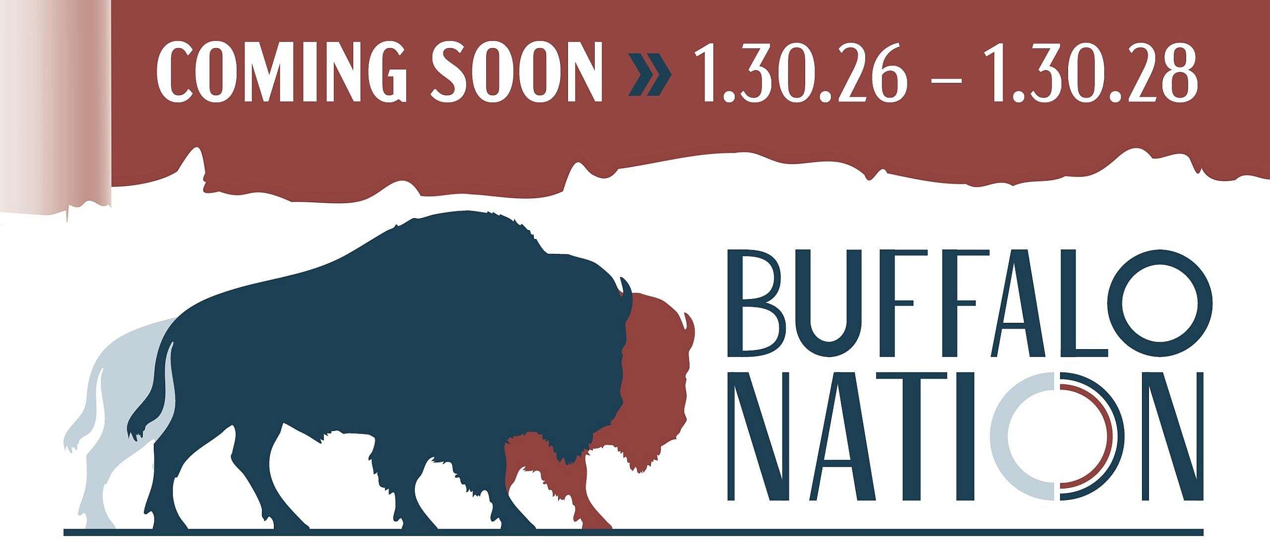 Buffalo Nation