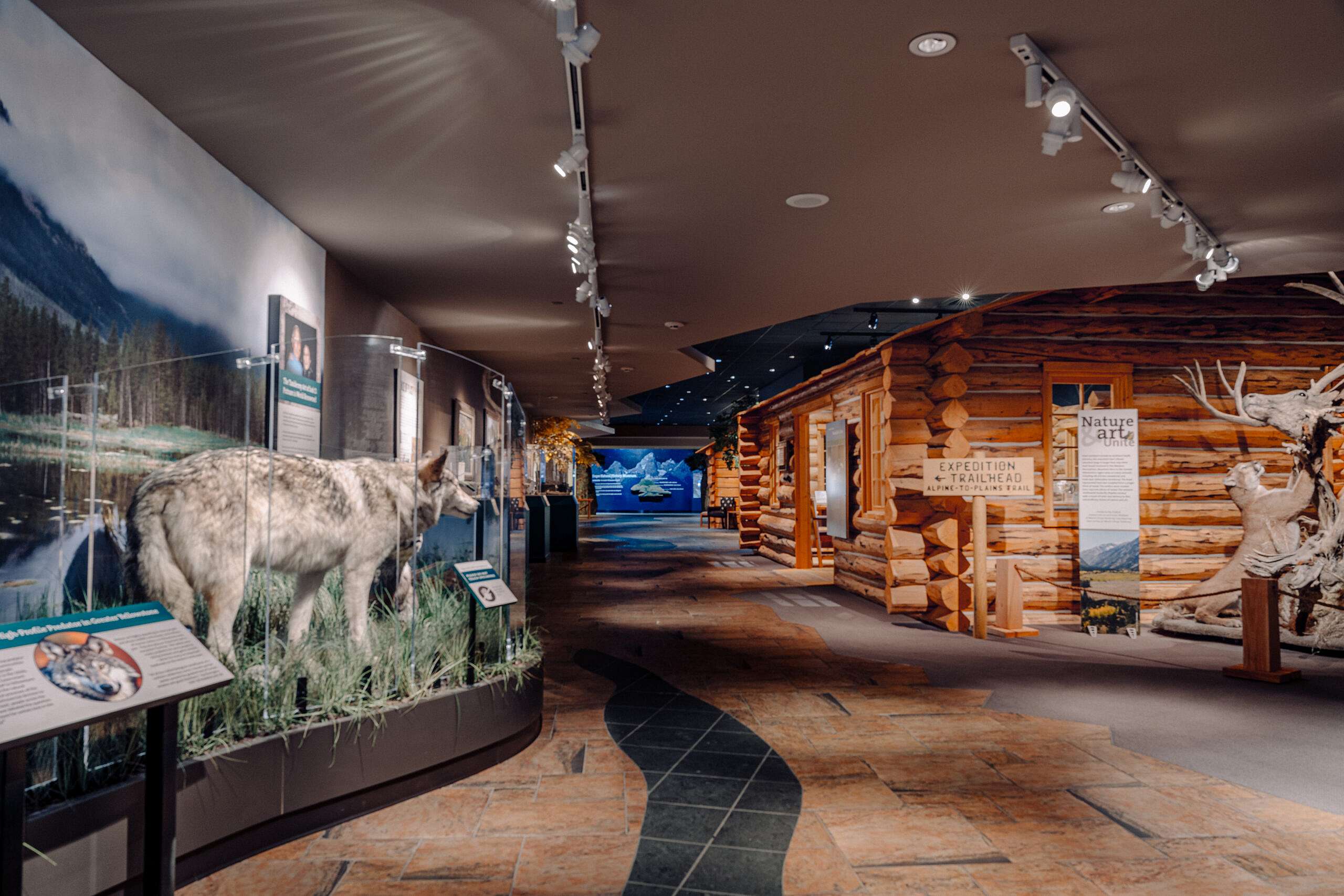 Entrance to the Draper Natural History Museum