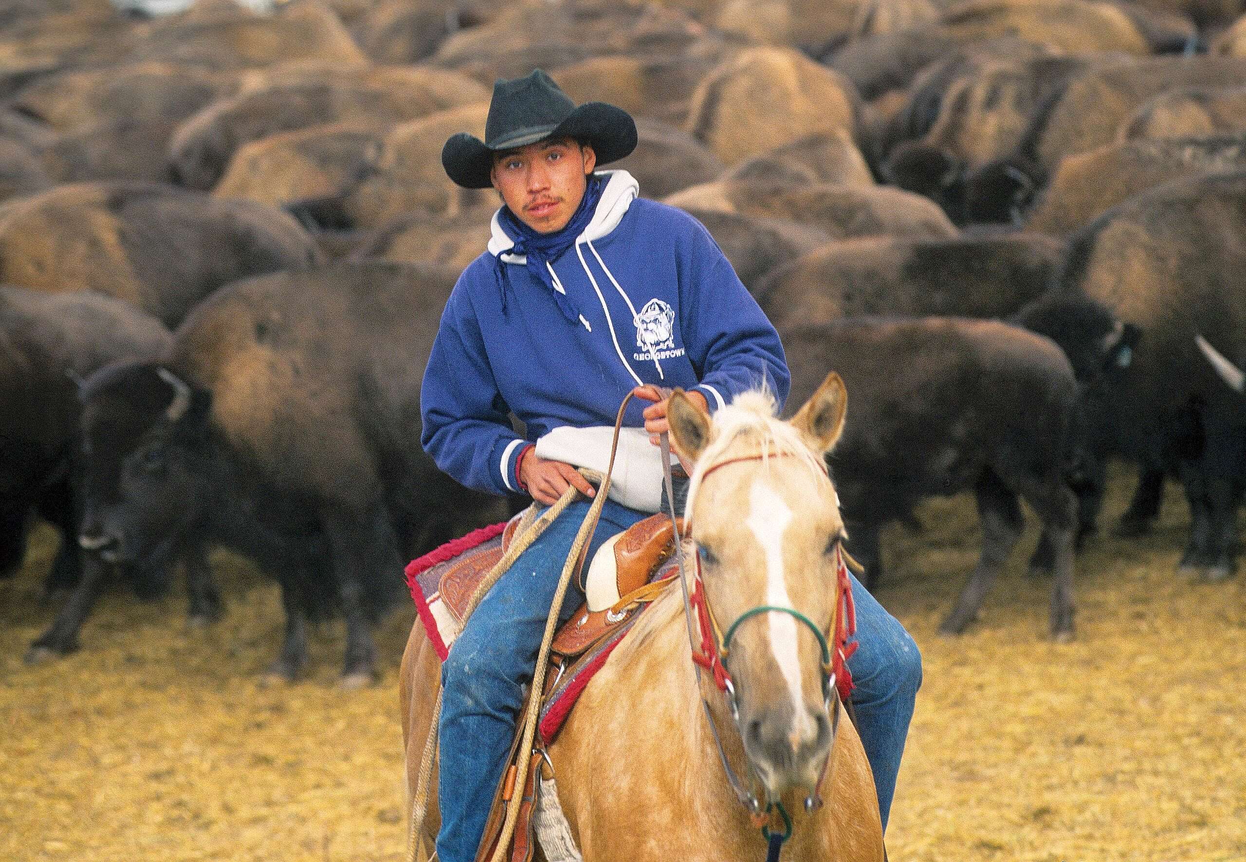 Ken Blackbird (b. 1956), Indian Cowboy at buffalo Roundup near Fort Smith, Montana, 1999. MS 426 Ken Blackbird Collection, McCracken Research Library. P.426.02646.