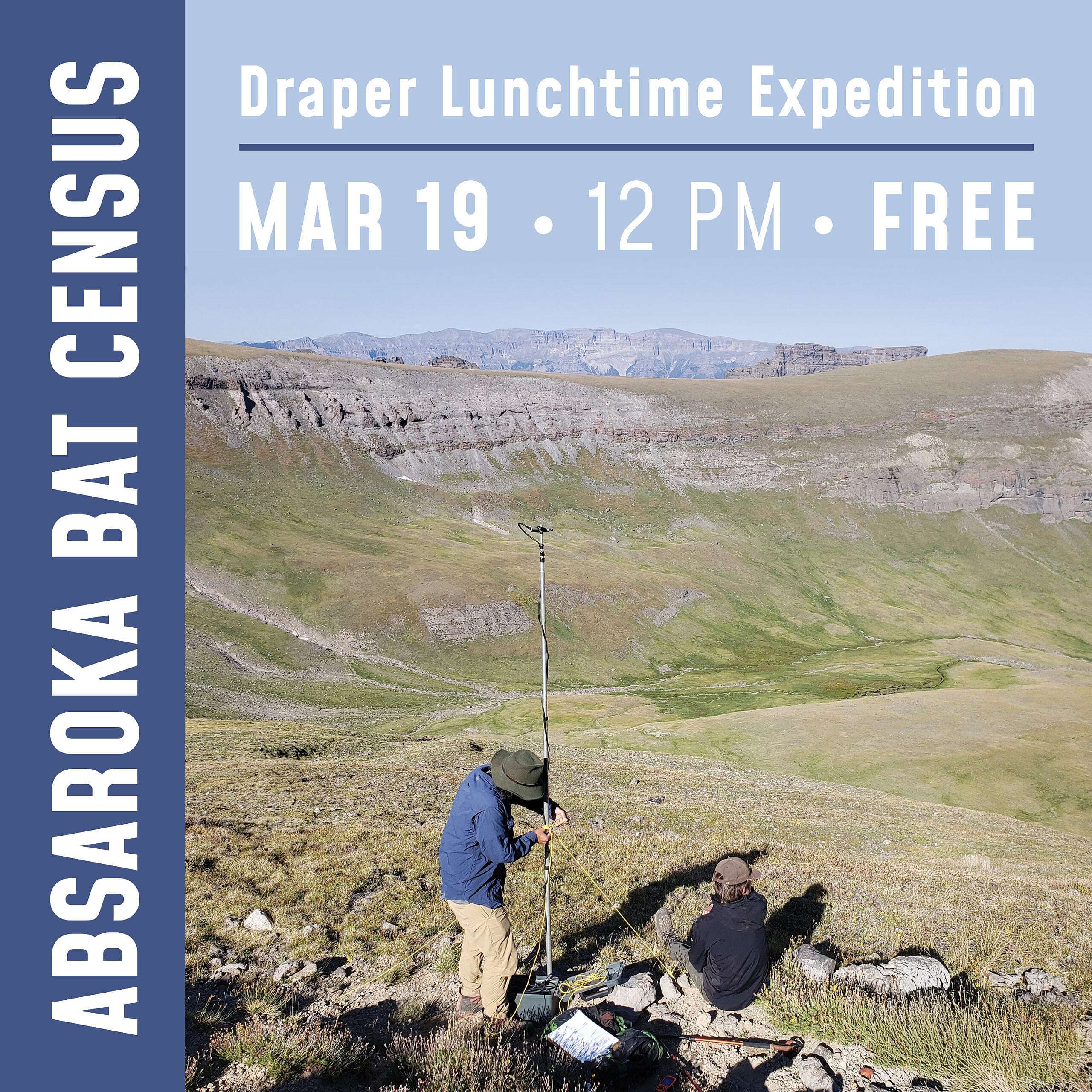 Lunchtime Expedition Bat Census